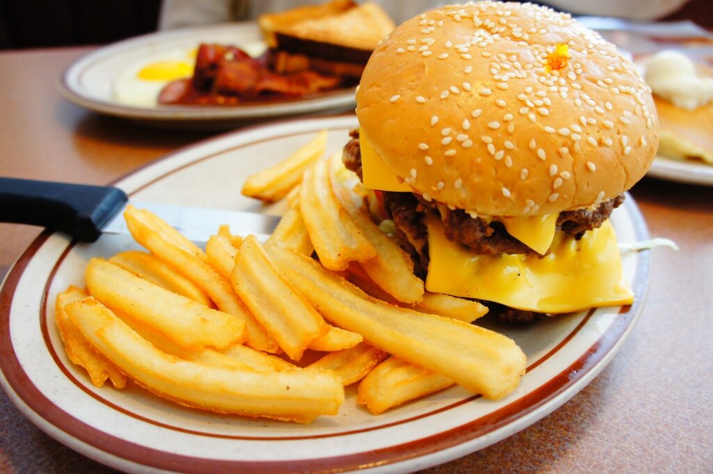 burger, french fries, row burger with fries-74748.jpg